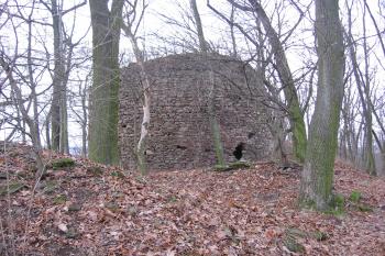  (© Zdeněk Třebenský, 12/2008)