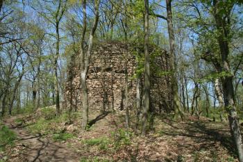 Věž hradu ( © Petr Nožička 04/2009)