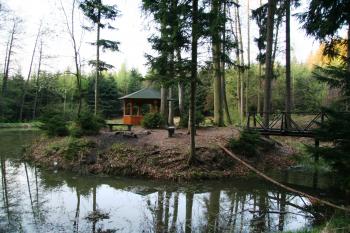 Pohled na tvrziště ( © Petr Nožička 04/2011)