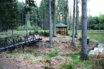 Pohled na tvrziště ( © Petr Nožička 04/2011)