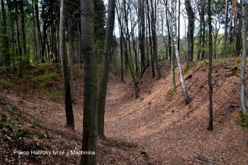 příkop u tvrze (© Daniel Šmidrkal, 04/2014)