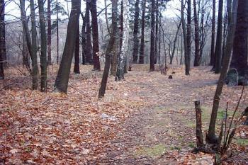 Machnín ( © Michal Merkl 03/2004)