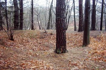 Machnín ( © Michal Merkl 03/2004)