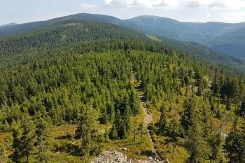 Pohled z rozhledny (© Lukáš Megastar 07/2018)