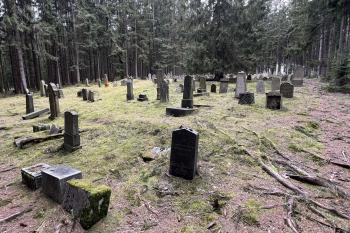 Drmoul (© Přemysl Brom 03/2024)