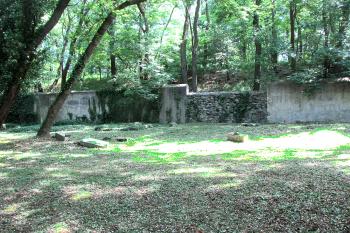 Židovský hřbitov, ležící na katastru města Odolena Voda. (© Pavel Vítek  05/2025)