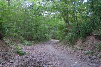 Bývalá brána ( © Petr Turyna 08/2004)