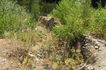 Hlavní akropole ( © Petr Turyna 08/2004)