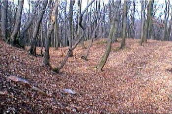 Jasně zřetelné valy a příkopy (2001 © Petr Turyna)