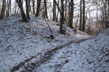  (© Zdeněk Susa, 02/2009)