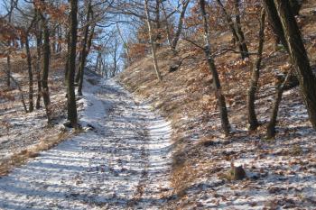  (© Zdeněk Susa, 02/2009)