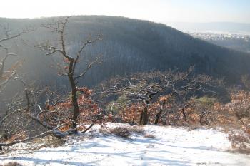  (© Zdeněk Susa, 02/2009)