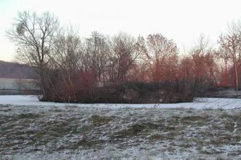 Tvrziště od jihu (2003 © Václav Hájek)