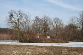 Pohled na tvrziště z jihu ( © Petr Nožička 03/2010)