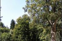 Teplice nad Metují
