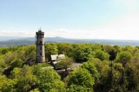 Hochwald