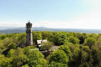 Hochwald (© Markus Hiltscher 05/2025)