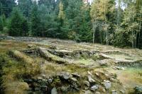 Pfaffenschlag