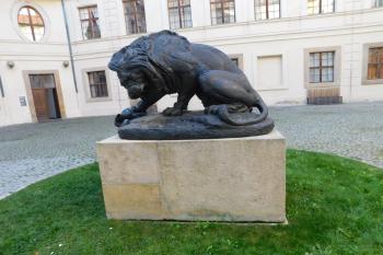  (© Milan Caha  11/2025)