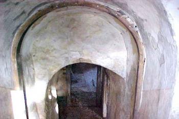  (© Vlky, Jirka Čížek, 14.8. 2004)