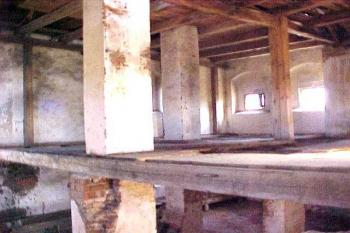  (© Vlky, Jirka Čížek, 14.8. 2004)