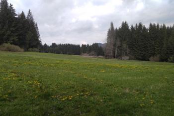 PR Bukovec (© Pavel Stránský 05/2017)