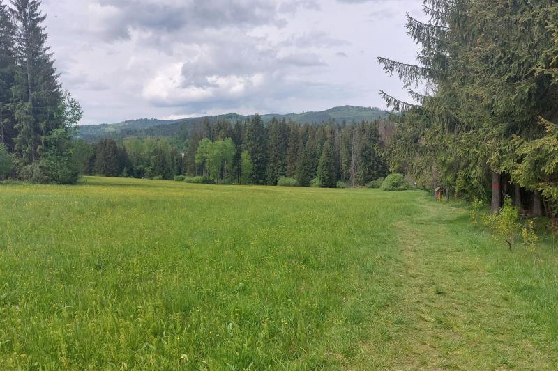 Bukovec Bukovec