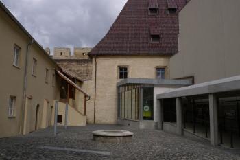  (© Karel Husák, 03/2011)