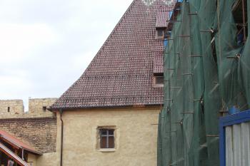  (© Karel Husák, 07/2010)