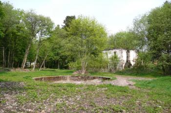 celkový pohled na torzo hlavního průčelí zanikajícího zámku ( © Jan P. Štěpánek 05/2011)