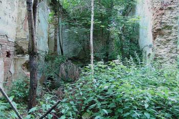 Zříceniny zámku ( © Roman Řezáč 07/2005)