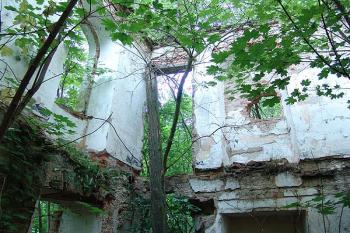 Interiér zříceniny zámku ( © Roman Řezáč 07/2005)