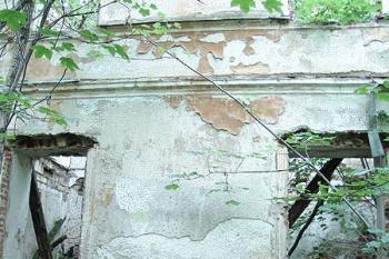 Zříceniny zámku ( © Roman Řezáč 07/2005)