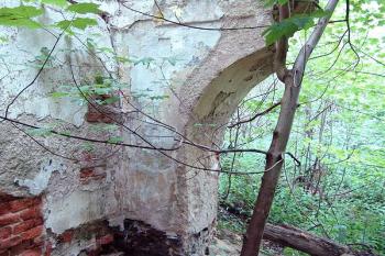 Zříceniny zámku ( © Roman Řezáč 07/2005)