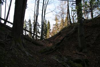 Příkop hradu ( © Petr Nožička 04/2011)