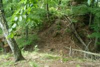 Horní Vlčice