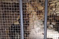 akvadukt a grotta (jeskyně Peklo)