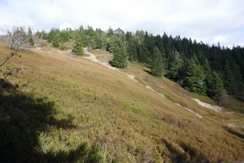  (© Pavel Semple 09/2024)