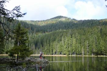  (© Pavel Semple 09/2024)