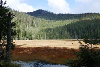  (© Pavel Semple 09/2024)