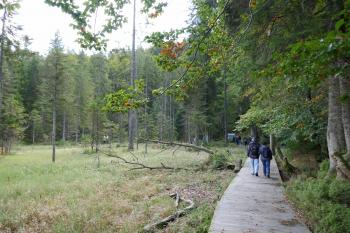  (© Pavel Semple 09/2024)