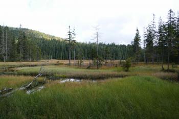  (© Pavel Semple 09/2024)