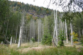  (© Pavel Semple 09/2024)