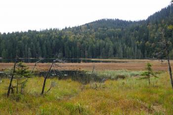  (© Pavel Semple 09/2024)