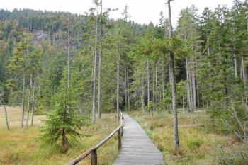  (© Pavel Semple 09/2024)