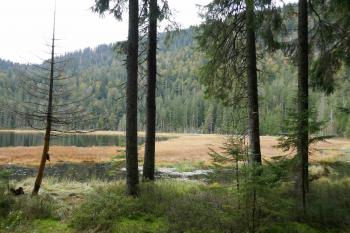  (© Pavel Semple 09/2024)