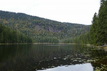  (© Pavel Semple 09/2024)