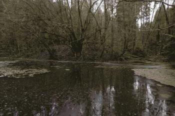 Celkový pohled na lokalitu (© Filip Matoušek 02/2004)