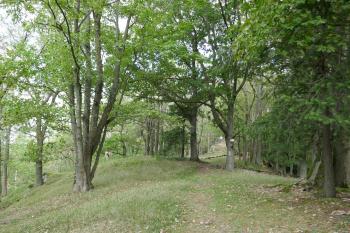  (© Pavel Semple 09/2023)