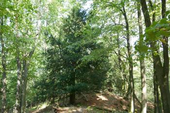  (© Pavel Semple 09/2023)